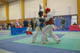 Thomas VITY Open National FSKO Prmesques-2006